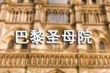 读《巴黎圣母院》有感(精选42篇)