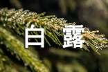 适合白露节气的说说330句