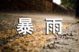 暴雨积水解决方案(精选10篇)