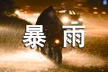 暴雨的作文(精选50篇)