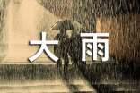 下大雨日记(精选25篇)