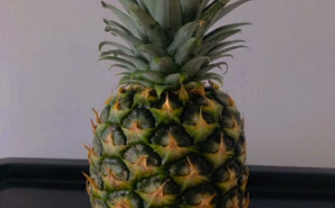 关于空气凤梨的作文20篇