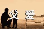 《父爱》读后感(精选7篇)