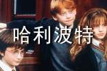 哈利波特读书笔记(精选20篇)