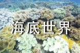 奇妙的海底世界作文(通用24篇)