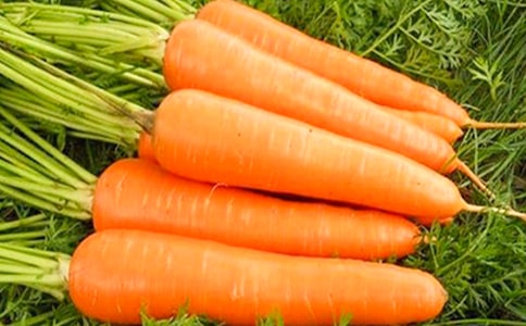 莴笋胡萝卜有什么营养