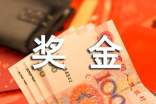 分配奖金的方案(精选10篇)