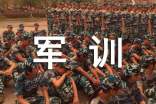 军训感悟优秀作文(精选32篇)