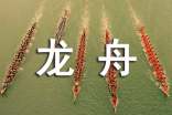 观看赛龙舟作文200字(精选42篇)