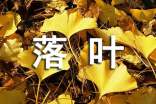 捡落叶的作文150字(通用18篇)