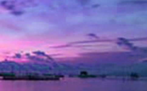 乡村美景作文(精选38篇)