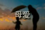 写母爱的作文(精选50篇)