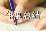 总经理年度总结(通用11篇)