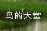 鸟的天堂观课心得(精选10篇)