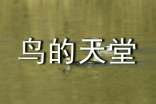 鸟的天堂小学语文教案(通用13篇)