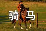 骑马优秀作文(精选42篇)