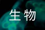 生物线上教学心得体会(精选24篇)