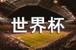 世界杯的作文(精选31篇)