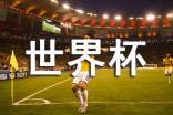世界杯作文(精选50篇)
