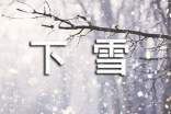 小学生下雪日记(精选39篇)