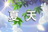 描写夏天的风的句子