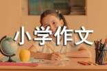 理发小学作文(通用31篇)