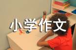 精选珍惜小学作文55篇
