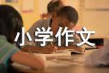 过年小学作文(20篇)