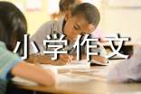 水上乐园小学作文(精选28篇)