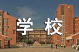 学校体育活动方案(精选16篇)