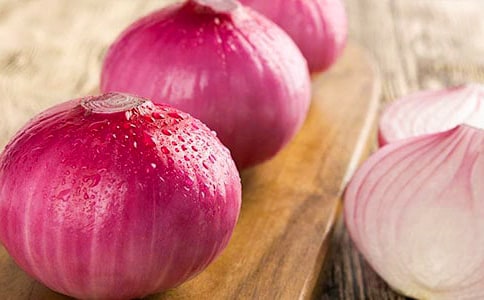 《洋葱头历险记》读后感(精选31篇)