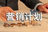 信用卡营销计划