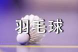 写事的作文:打羽毛球(精选73篇)