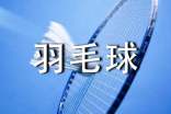 羽毛球比赛策划书(通用10篇)