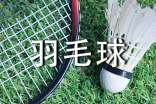 羽毛球比赛作文(精选27篇)