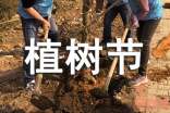 植树节趣事作文(通用55篇)
