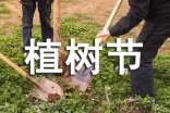 植树节日记(精选59篇)