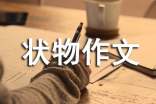 初中状物作文600字(通用45篇)