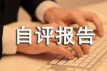 企业年度自评报告(精选11篇)