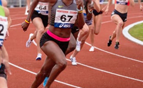 观看奥运会跳水作文