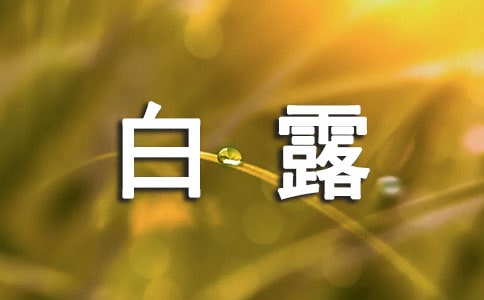 白露广告句子大全
