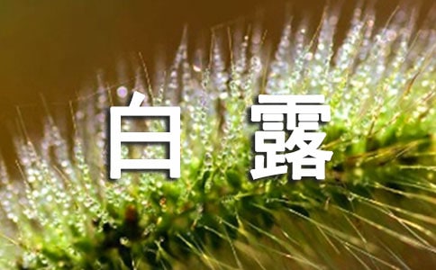 白露节气的传统习俗有什么