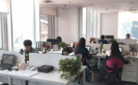 税务局办公室主任的职务转正考核的述职报告