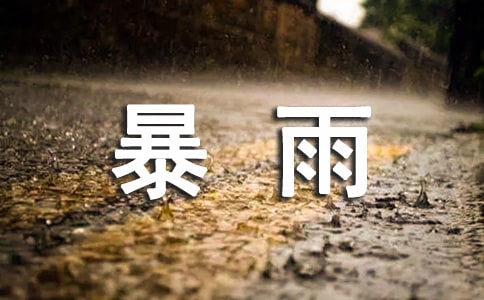 暴雨过后的说说370句