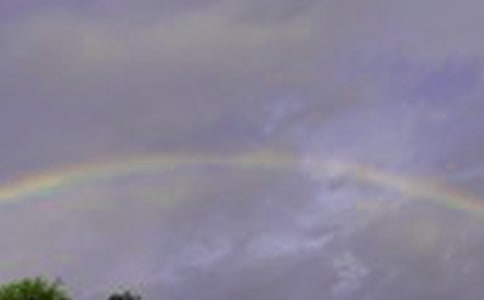 彩虹谷游记作文(通用19篇)