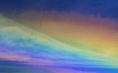 风雨后见彩虹作文600字(精选28篇)