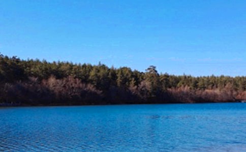 长白山游记作文(精选17篇)