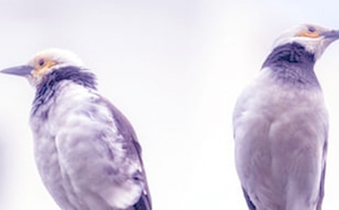 爸爸妈妈吵架了作文200字(通用20篇)