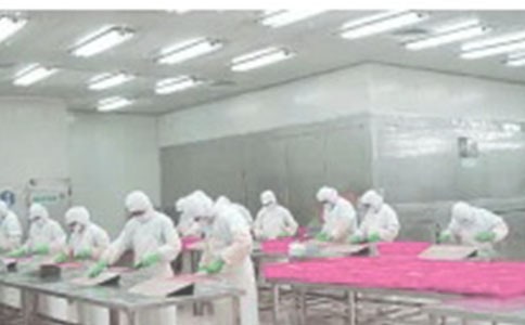 车间员工个人年终总结(精选14篇)