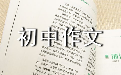 目光初中作文(通用22篇)